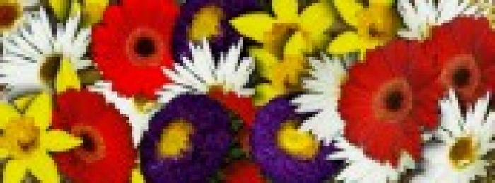 TQ3EHJZCRCX2UFQDWS1P63JPT