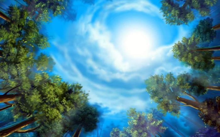 sky-and-tree