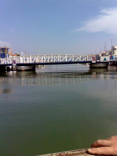 Imagine1302 - ApiMondia