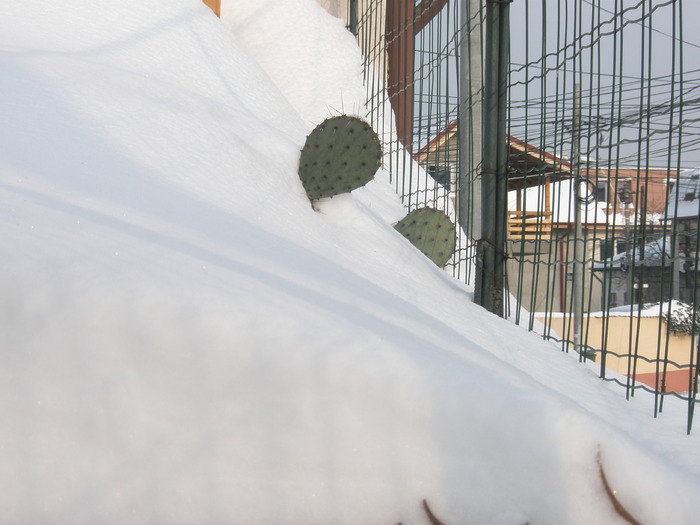 nameti pe garaj - 19.12