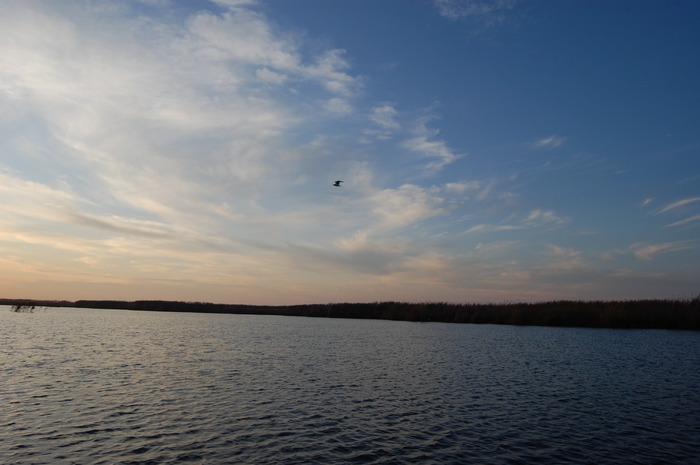 DSC_0068