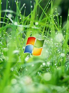 sgd1139597417.53442 - Mobile Wallpapers