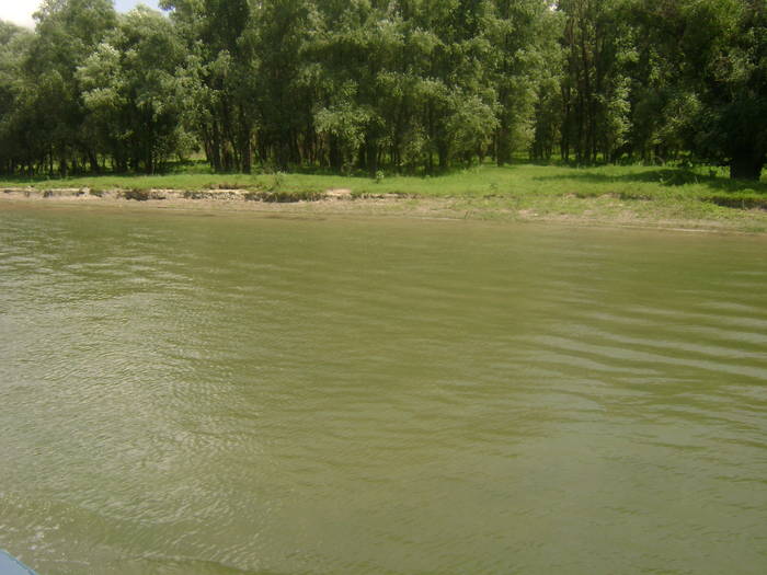 excursie delta dunarii 5062009 060 - EXCURSIE  in DELTA