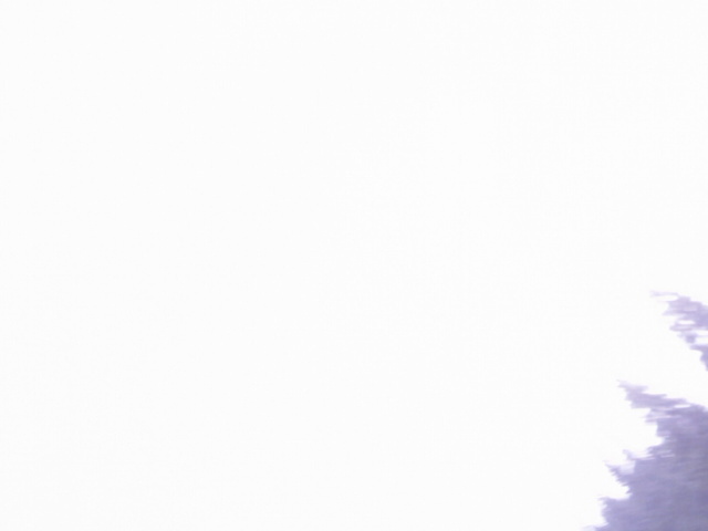 AAAA0496