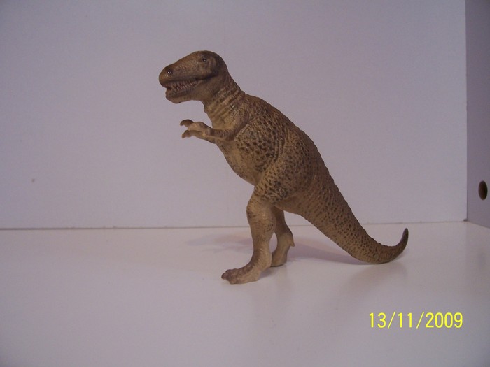 Tyrannosaurus 1