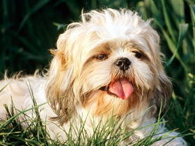 a_superstock_1566-093150