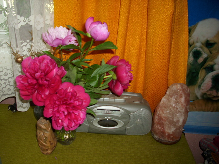 DSCI0477 - flori din gradina mea