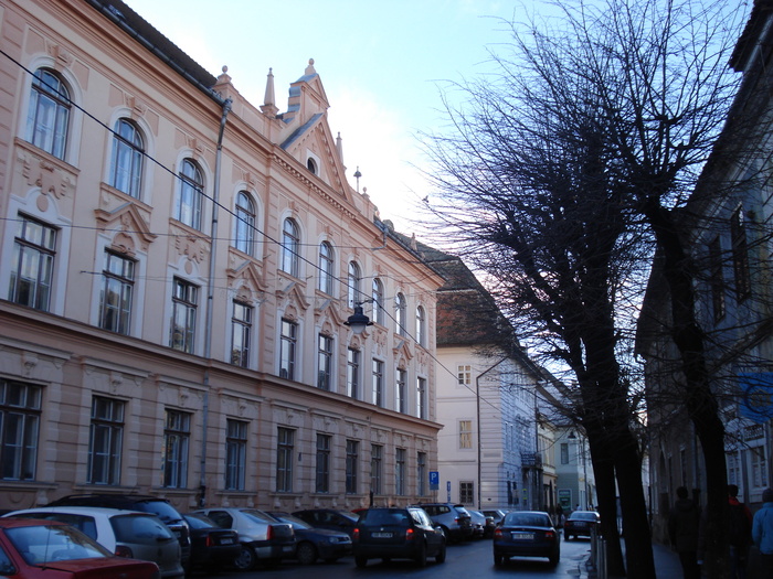 DSC06079 - 2010 REVELION SIBIU