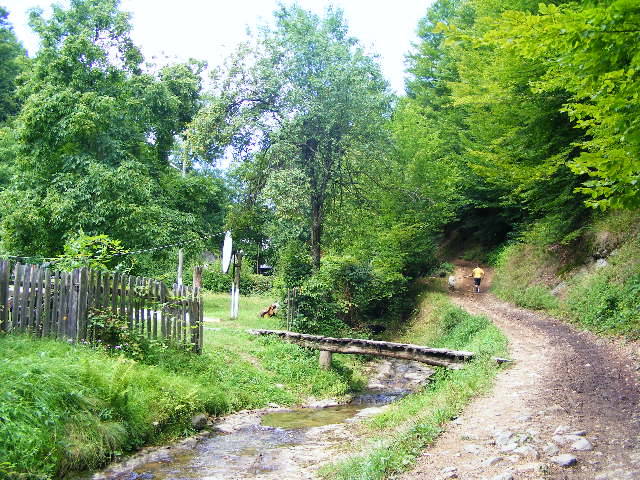 DSCF4807 - Firiza_Maramures