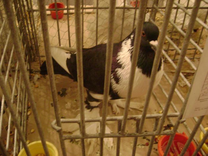 DSC05417