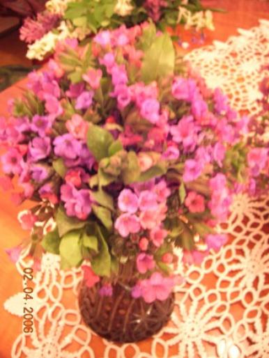 flori de padure - flori de primavara si pisici