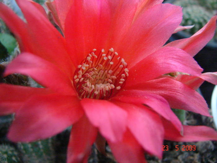 DSC05868