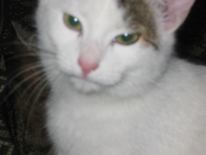 23 dec 2007 013
