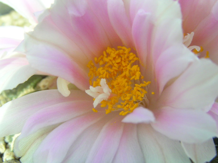 P9206833