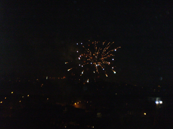 PB210282 - REVELION 2010