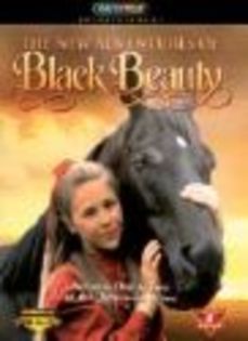 black beauty - BLACK BEAUTY