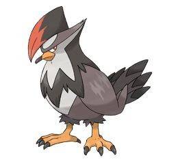 398staraptor