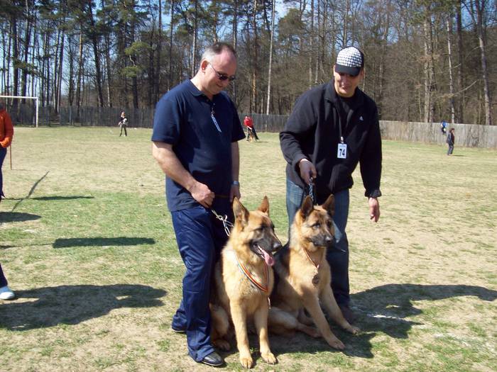 Luk-Lido del Gringo; F P 4 si 5
