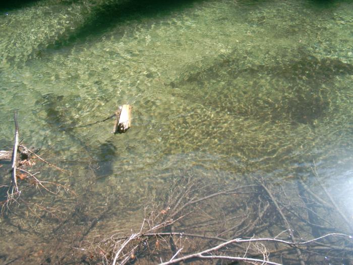 04130135 - Iezer-Papusa