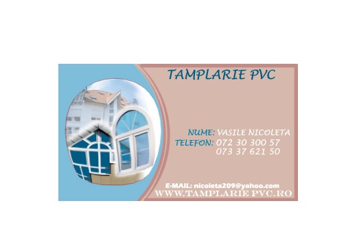 tamplarie1 copy