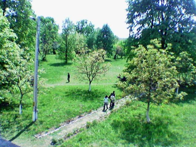 Image(229) - PEISAJE