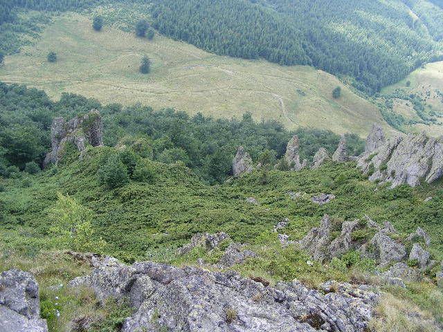 DSCF3109