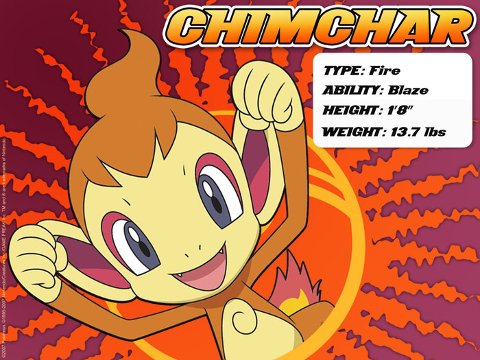 Chimchar - Chimchar