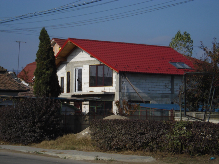 DSC02546