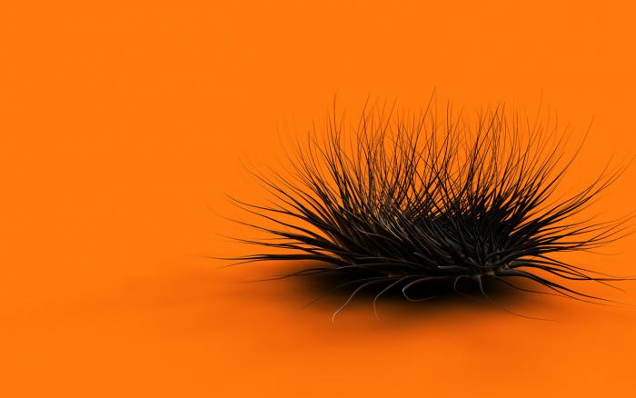 4164419-PhelinO-Orange%20Chaos%201440x900%20Wallpaper