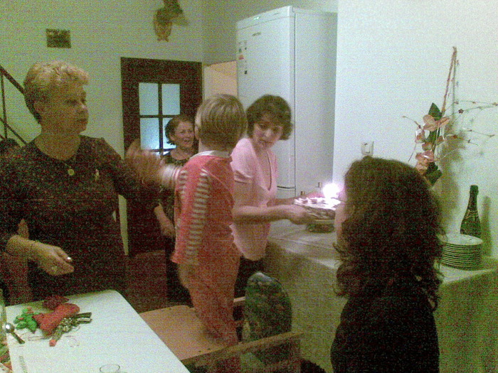 06122009(007) - mihai