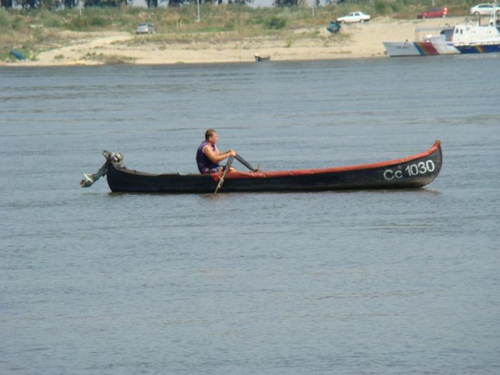 DSC02253