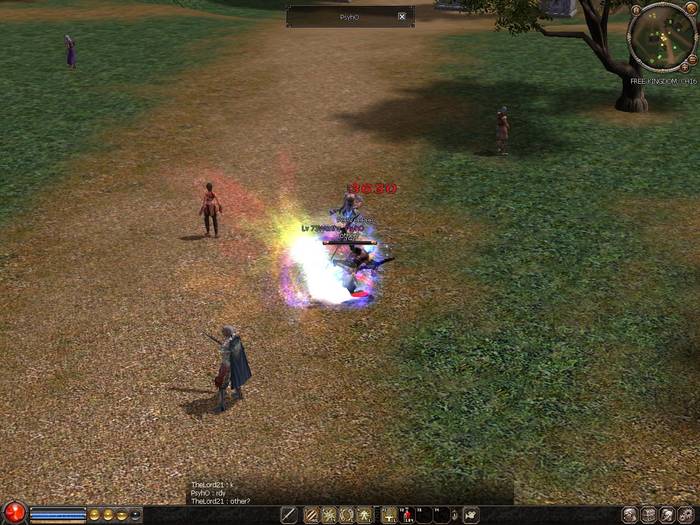 0716_200311 - Metin2