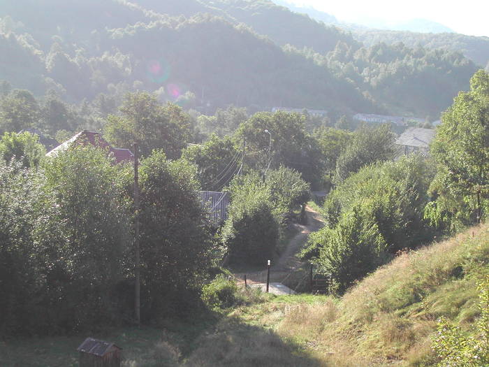 Picture 044 - Firiza