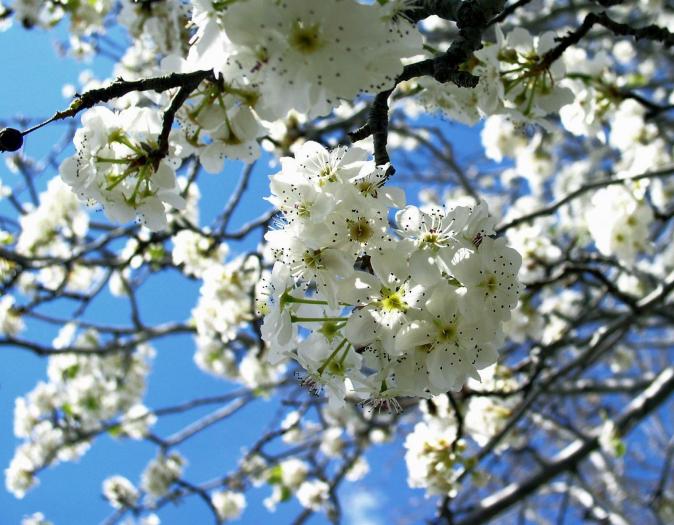 2169765190029210395ghfhkB_fs