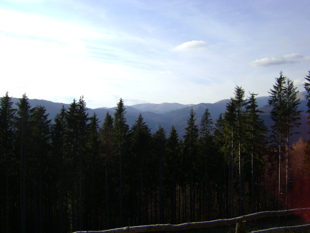 DSC07871 - UN DRUM LA CABANA BOLBOCI