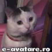 avatare_gratuite_74027194246eff2f0590646.62096824