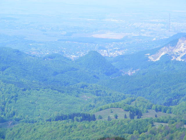 DSCF0297