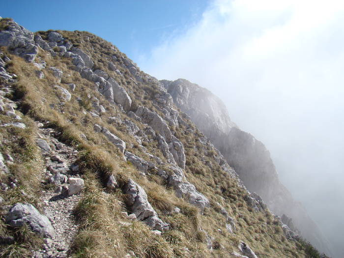 DSC03231 - Piatra Craiului MAI