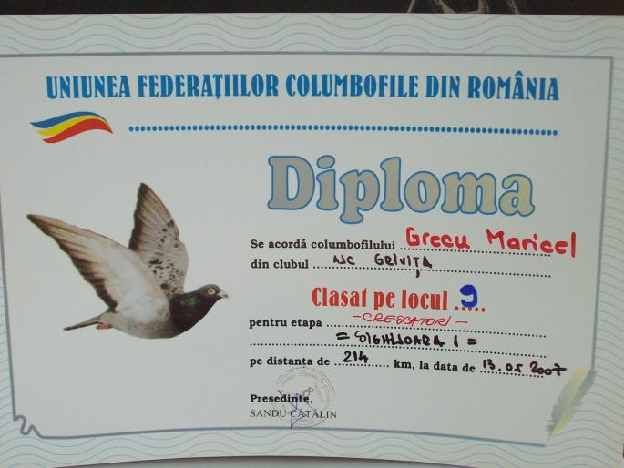 100_2893 - rezultate