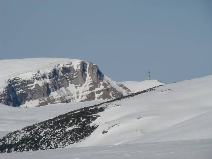 DSC01174 - Bucegi - Valea Izvorul Dorului-Padina