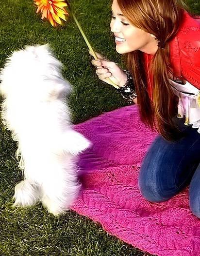 miley and puppy; super

