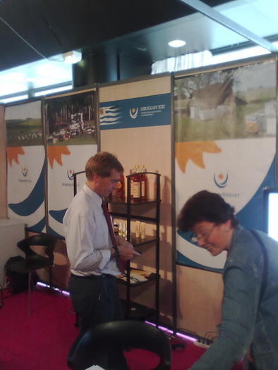 Imagine1104 - ApiMondia