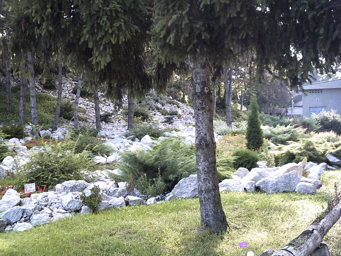 PICT0171