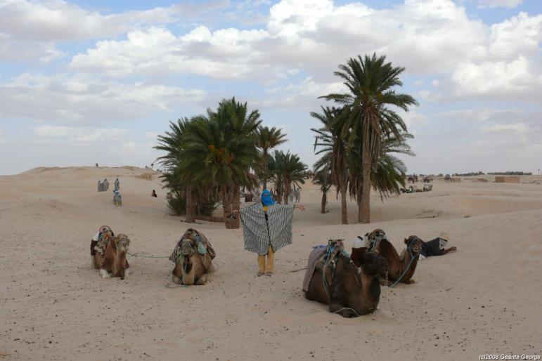 Tunisia_386