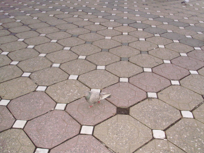 P9040110 - 18g Timisoara