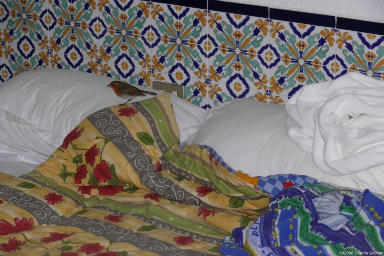 Tunisia_135 - Tunisia