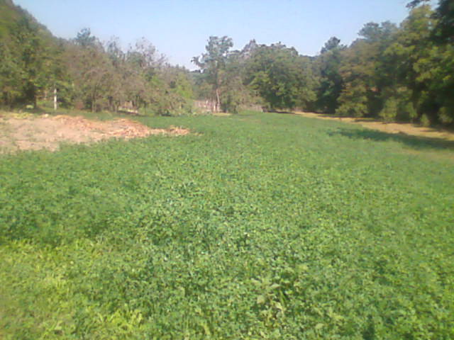 draganeasa09 011 - vacanta draganeasa 2009