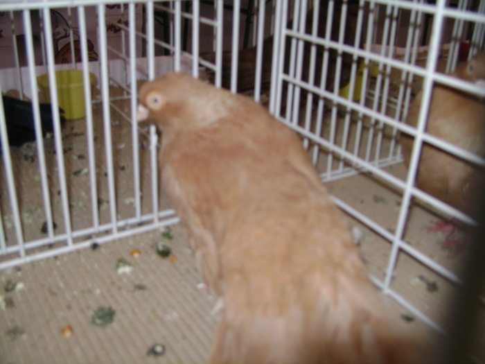 Picture 070