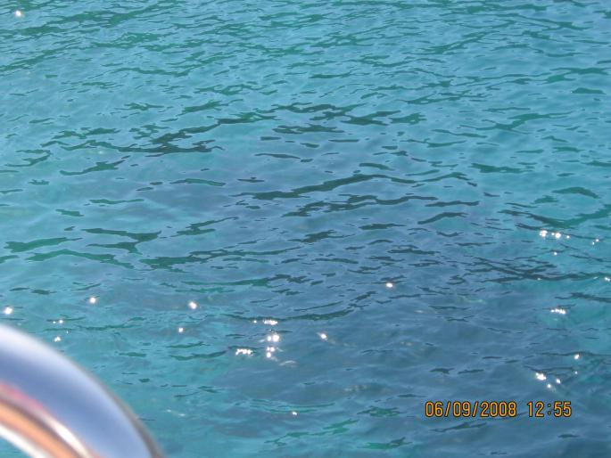 IMG_0282 - 2008 - corfu