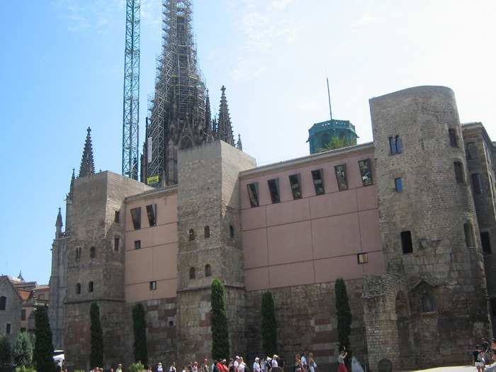 15 Catedral de Barcelona - Barcelona 2009